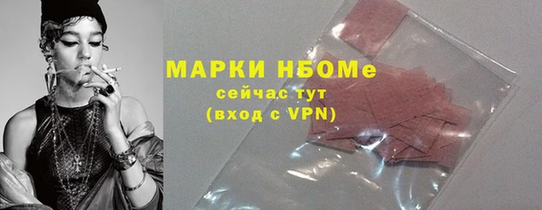 гидра Богородицк