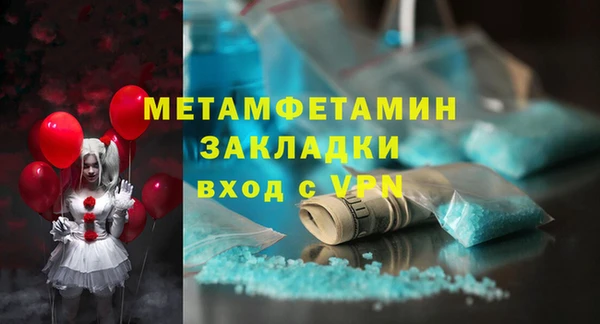гидра Богородицк