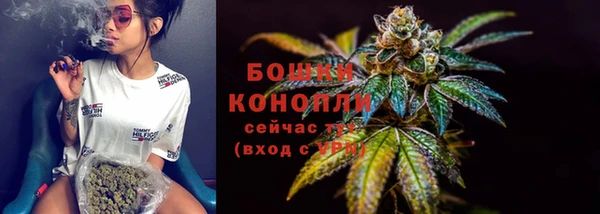 мдпв Богородск