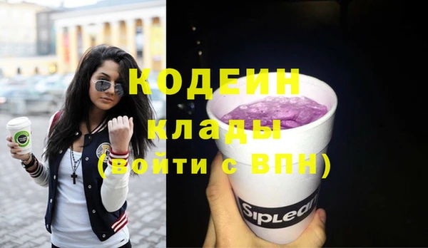 эйфоретик Бородино