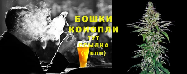 гидра Богородицк