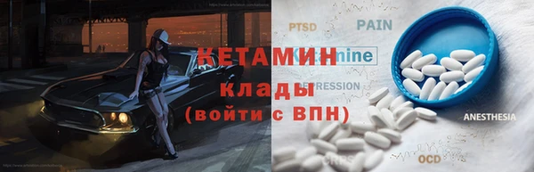гидра Богородицк