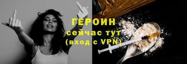 гидра Богородицк
