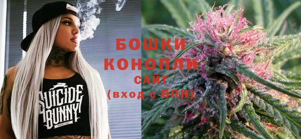 мдпв Богородск