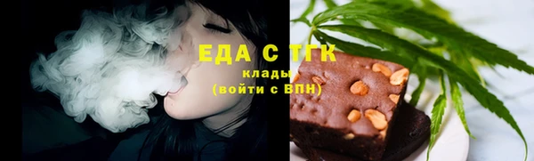 гидра Богородицк