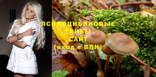 винт Богданович