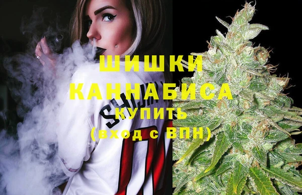 винт Богданович
