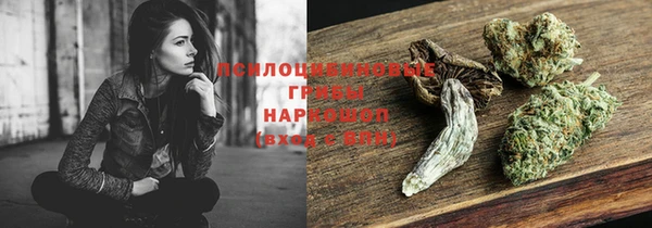 эйфоретик Бородино