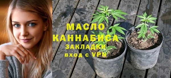мдпв Богородск