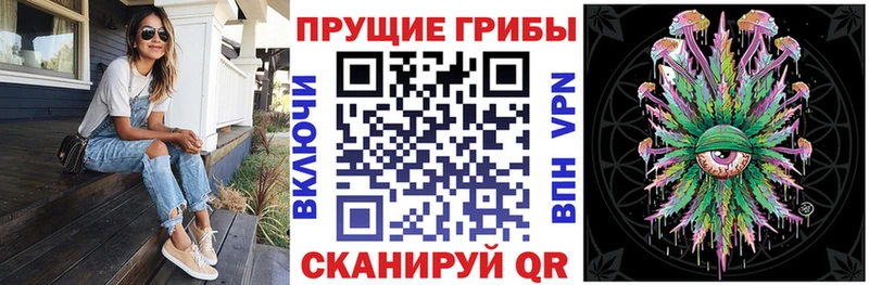 Галлюциногенные грибы Psilocybe  закладка  Прокопьевск 